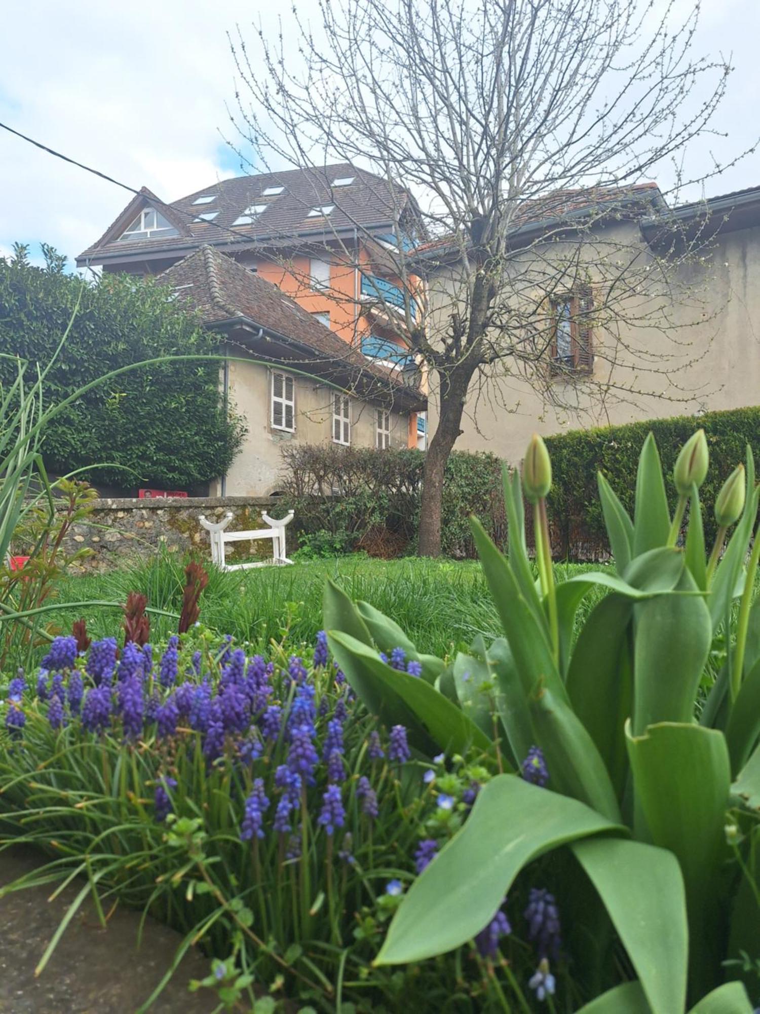 Chez Eric - L'Atypique Appartement Rumilly  Buitenkant foto