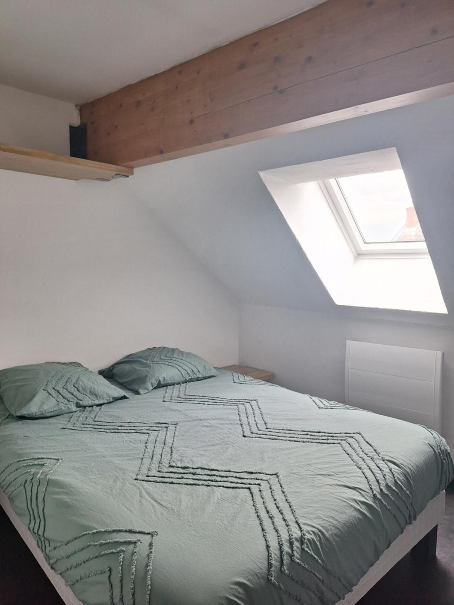 Chez Eric - L'Atypique Appartement Rumilly  Buitenkant foto